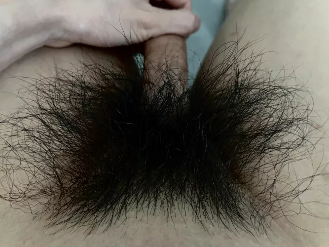 Who else has a huge pubes fetish? by HairyWildBush