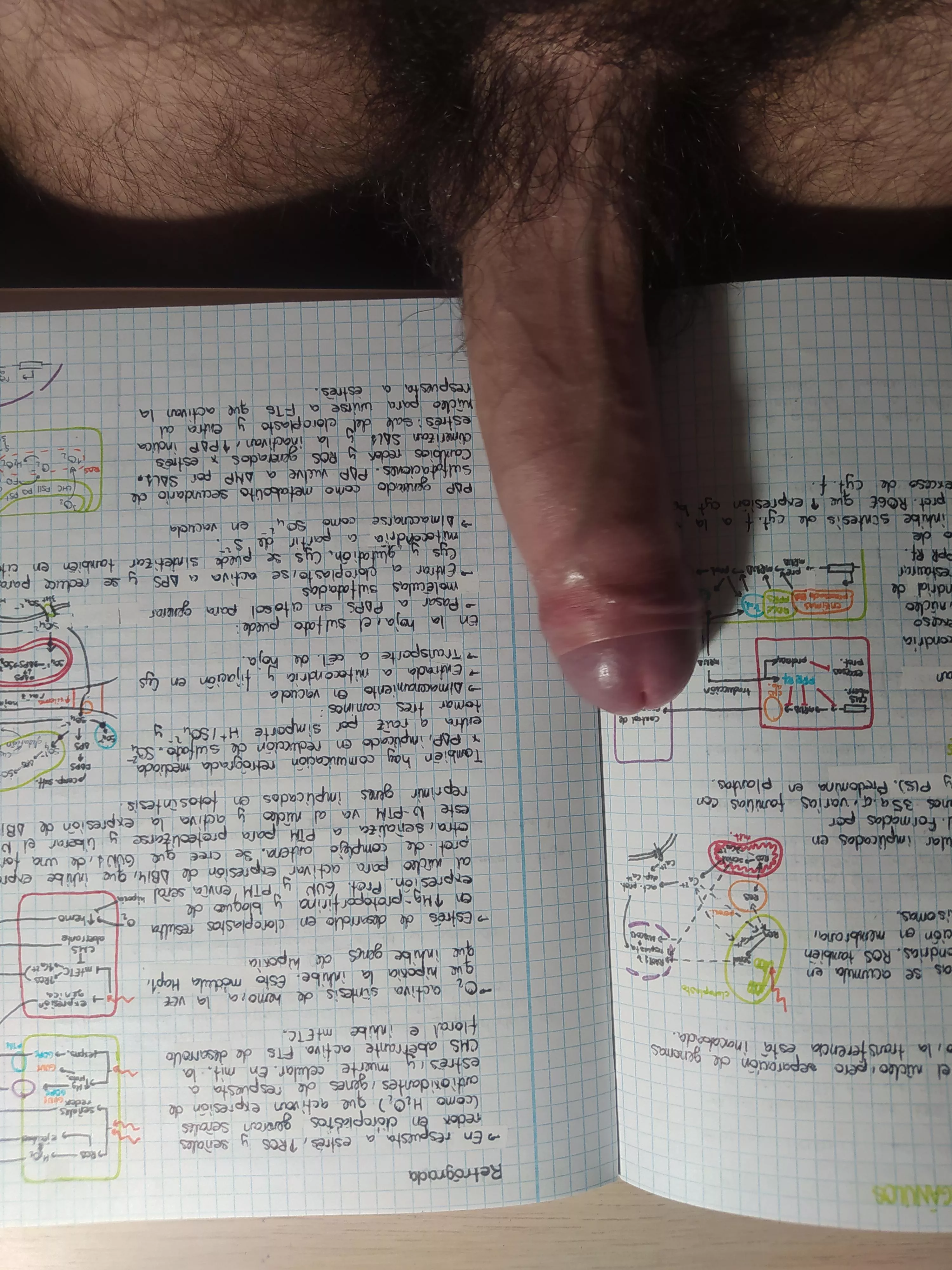 Will you help me study?  posted by OriginalHornyGuy