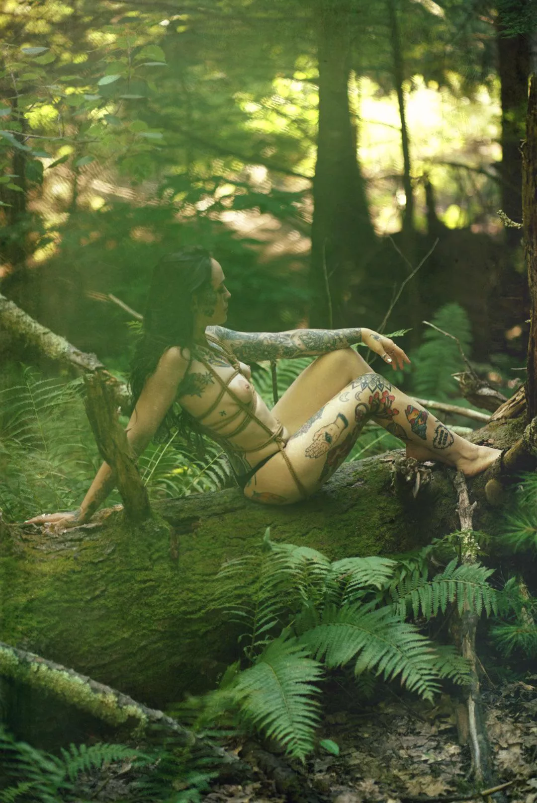 you know how to add ink by adding funds 🤑🤑🤑 posted by Flat_Butterscotch_98