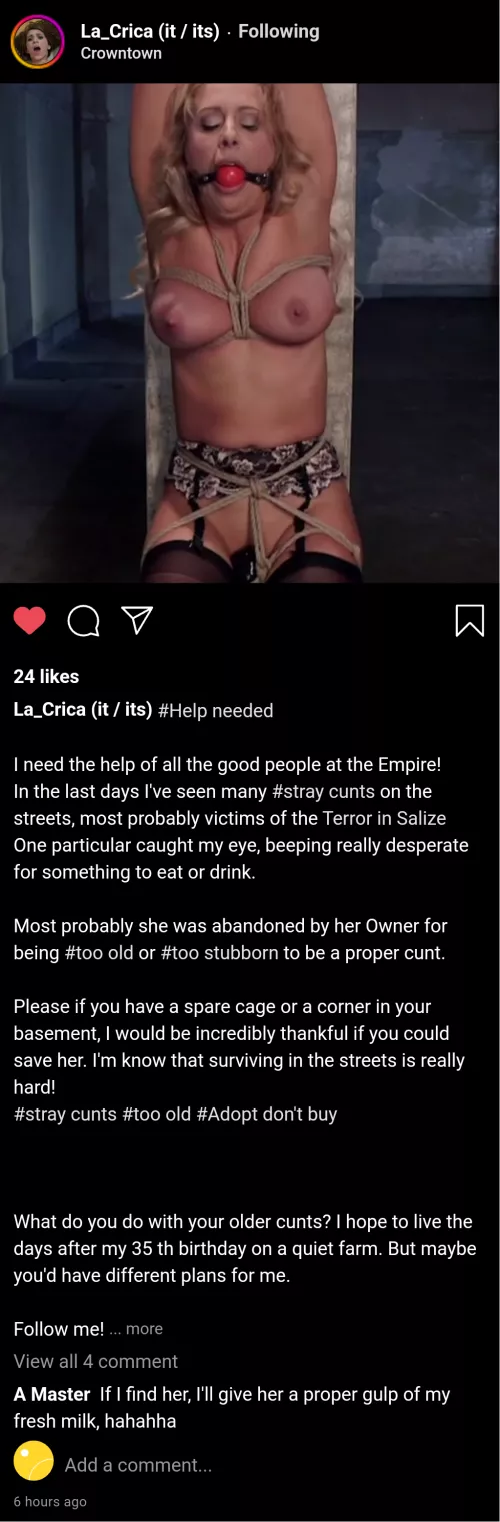 (cuntagram) - @la_crica - u/ClaireDivine Lost cunt needs shelter by Alakabazan