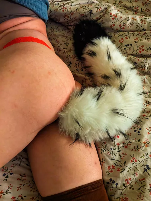 Having a little tail fun tonight 🤭 by Ks_Thunder_Thighs