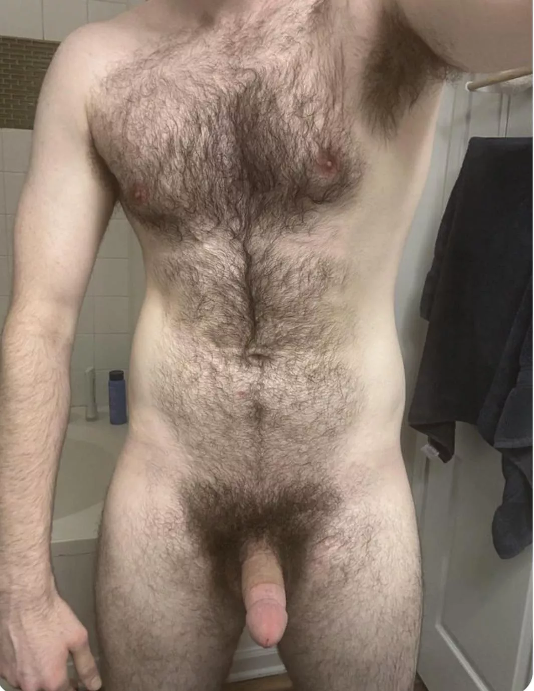 If you enjoy a hairy guy with a nice big cock, LMK. DMs open posted by ImtheMMguy