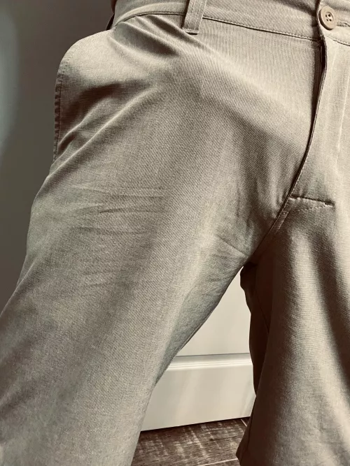 Imprinted by Professional_Bar694