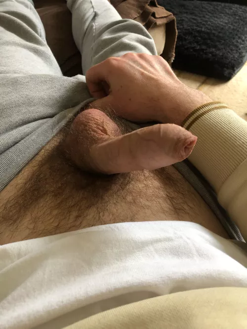 Just chilling on the sofa  by furrow4407