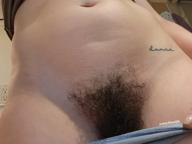 my bush goes really curly sometimes by yessyDwaifu