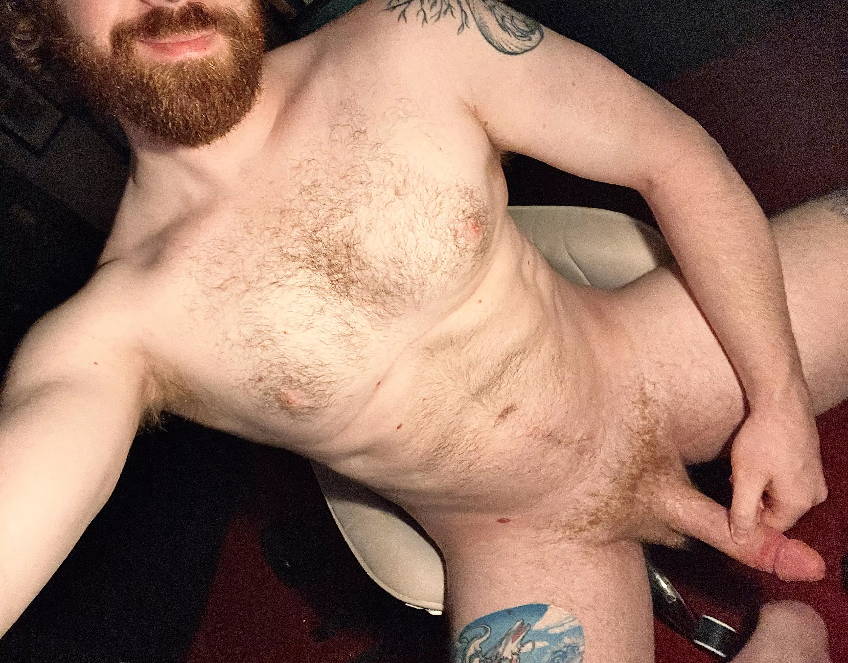 Name one good reason as to why you shouldn’t be sitting in my lap posted by papiginge