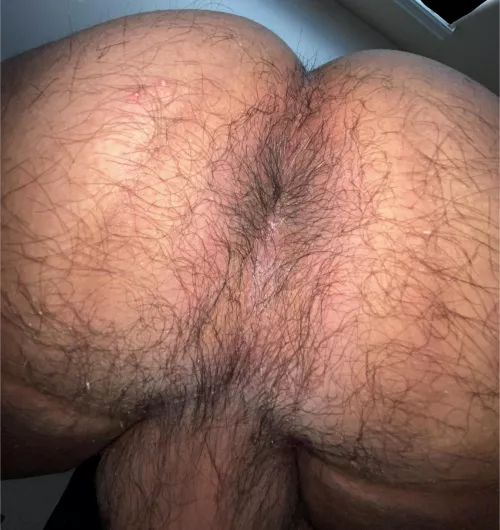 Need a face to sit on by Vast-Context-5195