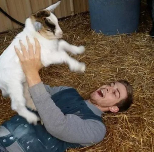 Not a gaming post but playing with something cute  by Substantial_Fact2618