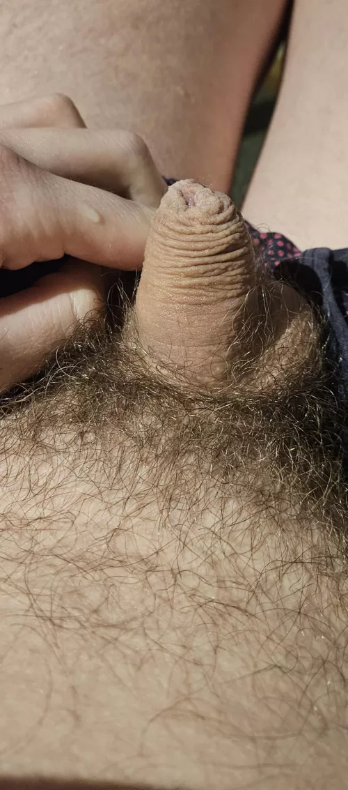 Proud of my softie! by Wide-Pride7990