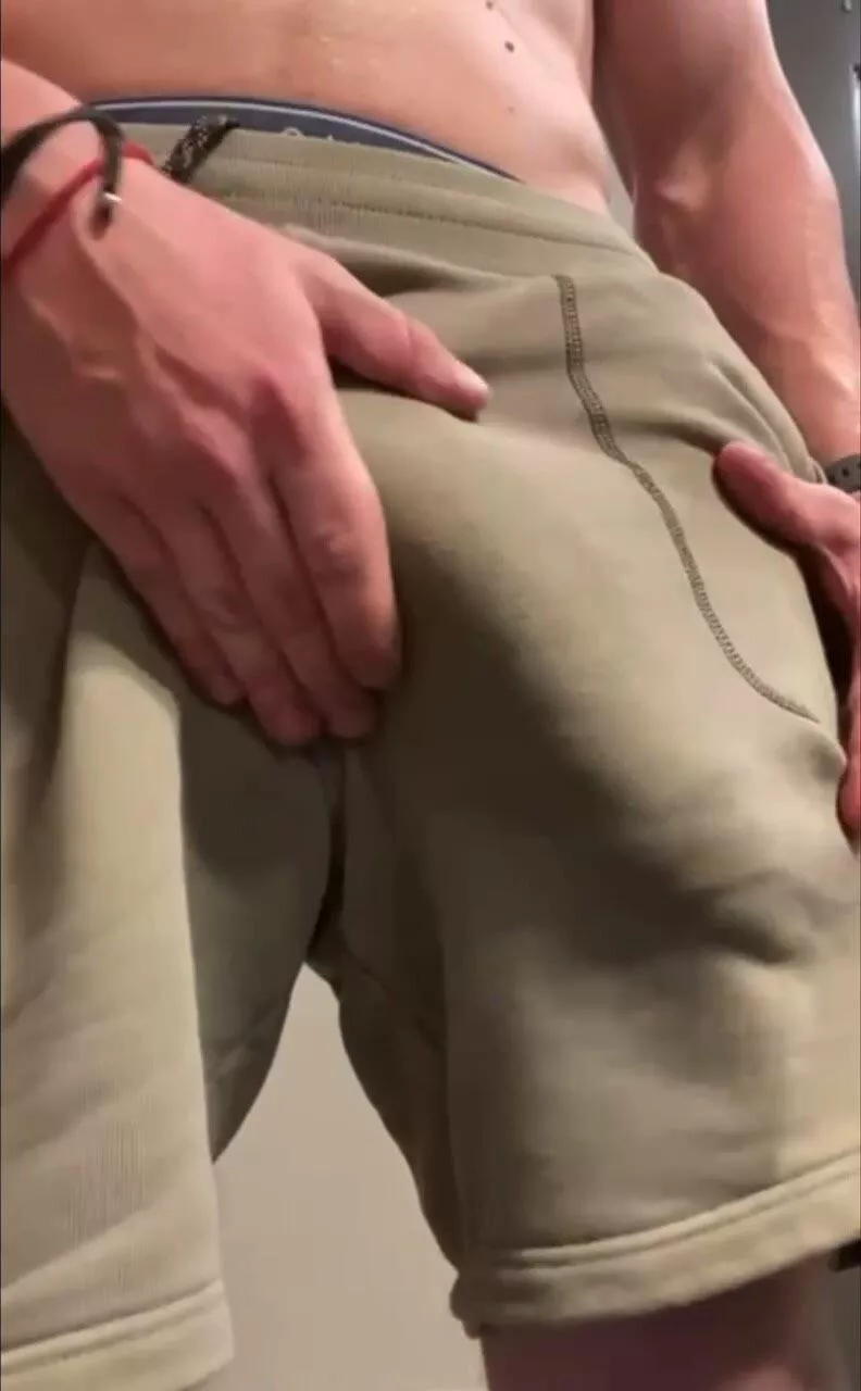 Tamed for now… posted by Appropriate_Lab_1284