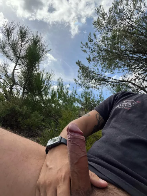 Woods  by Miguelcostauuu