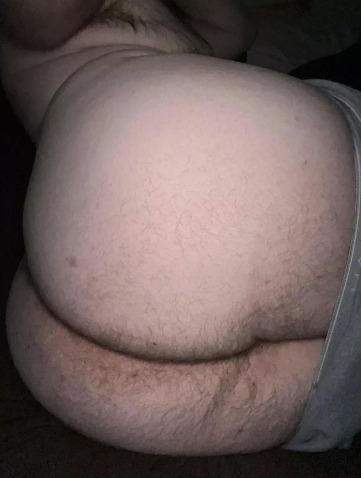 Would you breed a big hairy ass? posted by King_Cake69