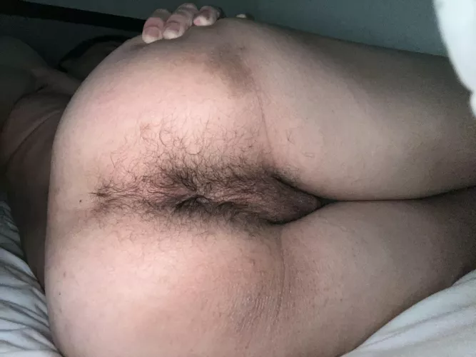 (18) breed it? by pepper_boi05