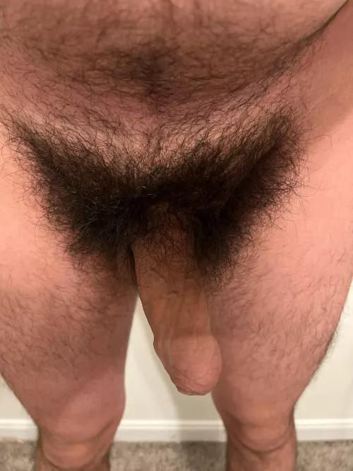 (26) I’ve trimmed a few times before but nothing beats having a nice, hairy cock by KingMaximus777