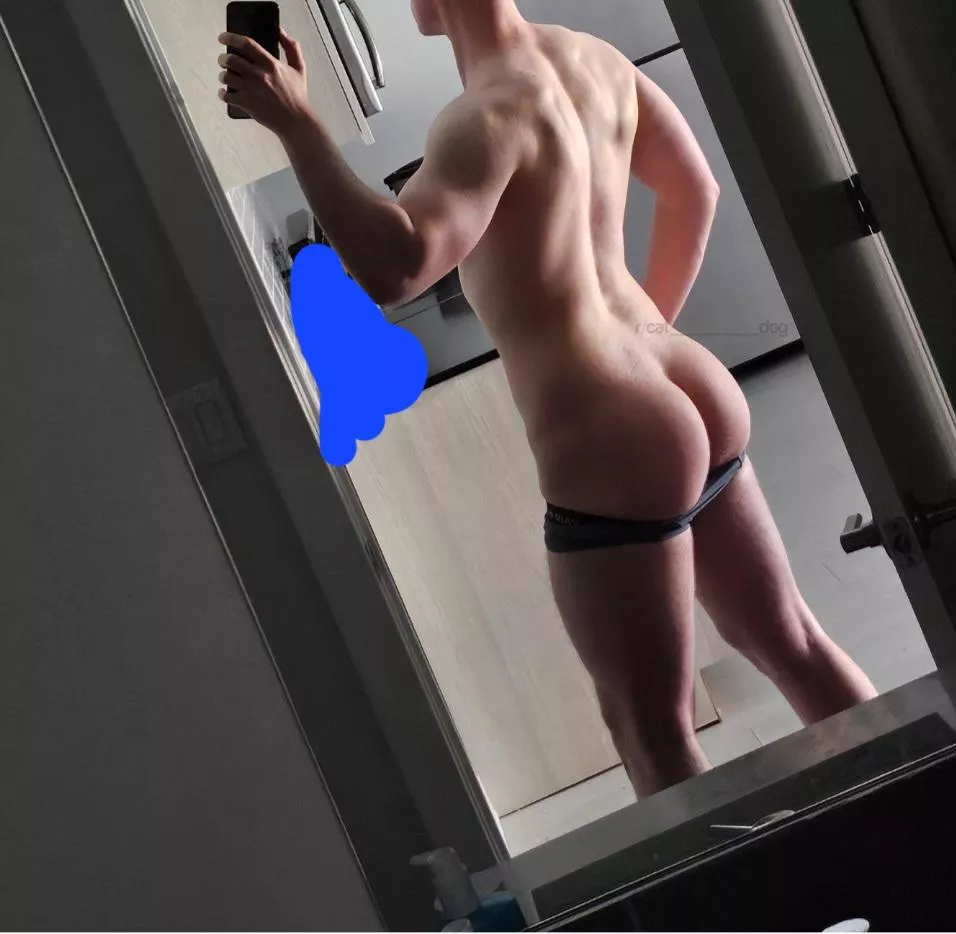 Anyone wanna smell my post-leg day undies?  posted by cat_________dog