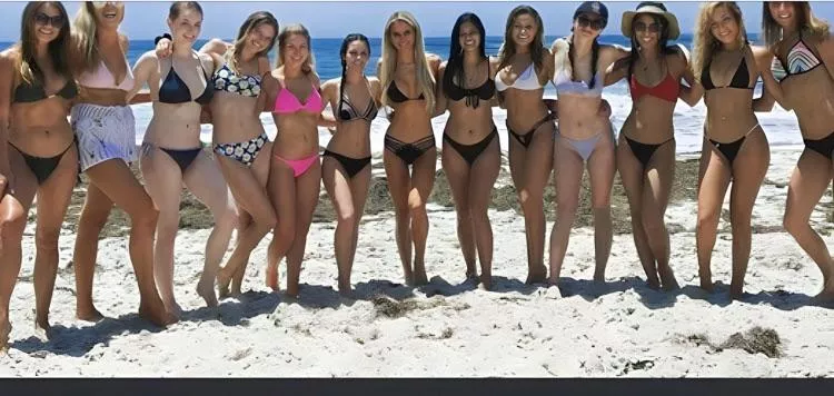 Beach Celebration posted by Unlucky_Hat_5815