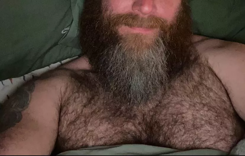 Bored Early Sunday posted by Sparky2048