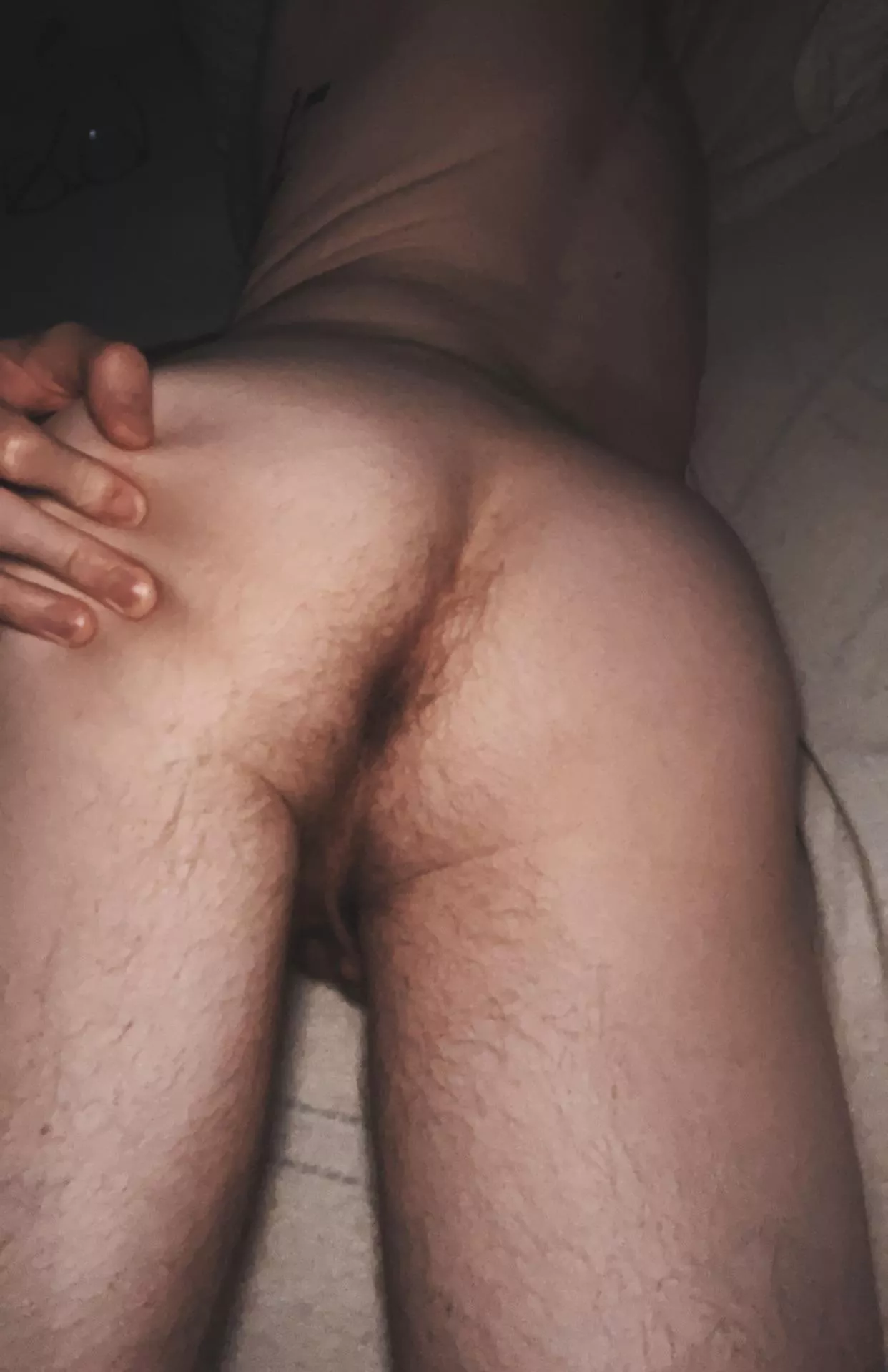 Breed me? 😛 posted by sunginger95