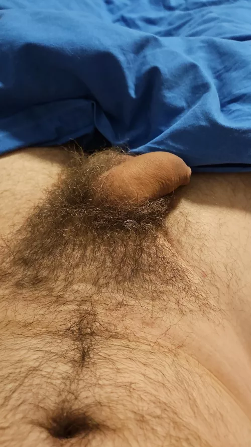 Bush is getting there  by Dizzy_Pen2358