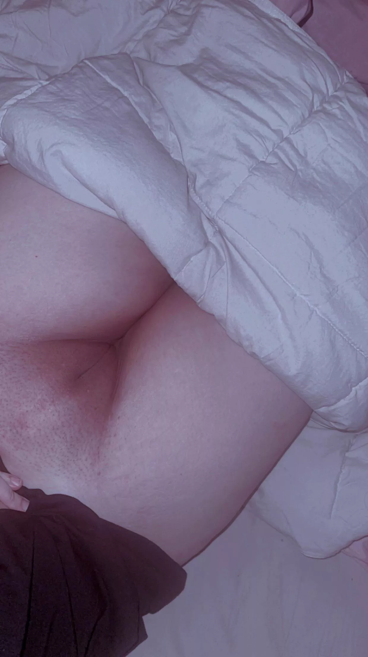 Dig in  posted by Silent_Tea1955