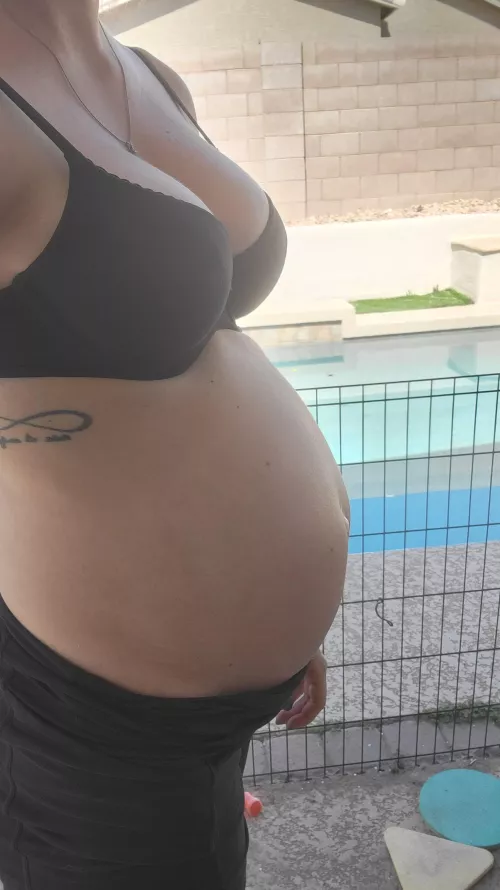 Growing so big and round 👀 by Ok_Shoulder_4748