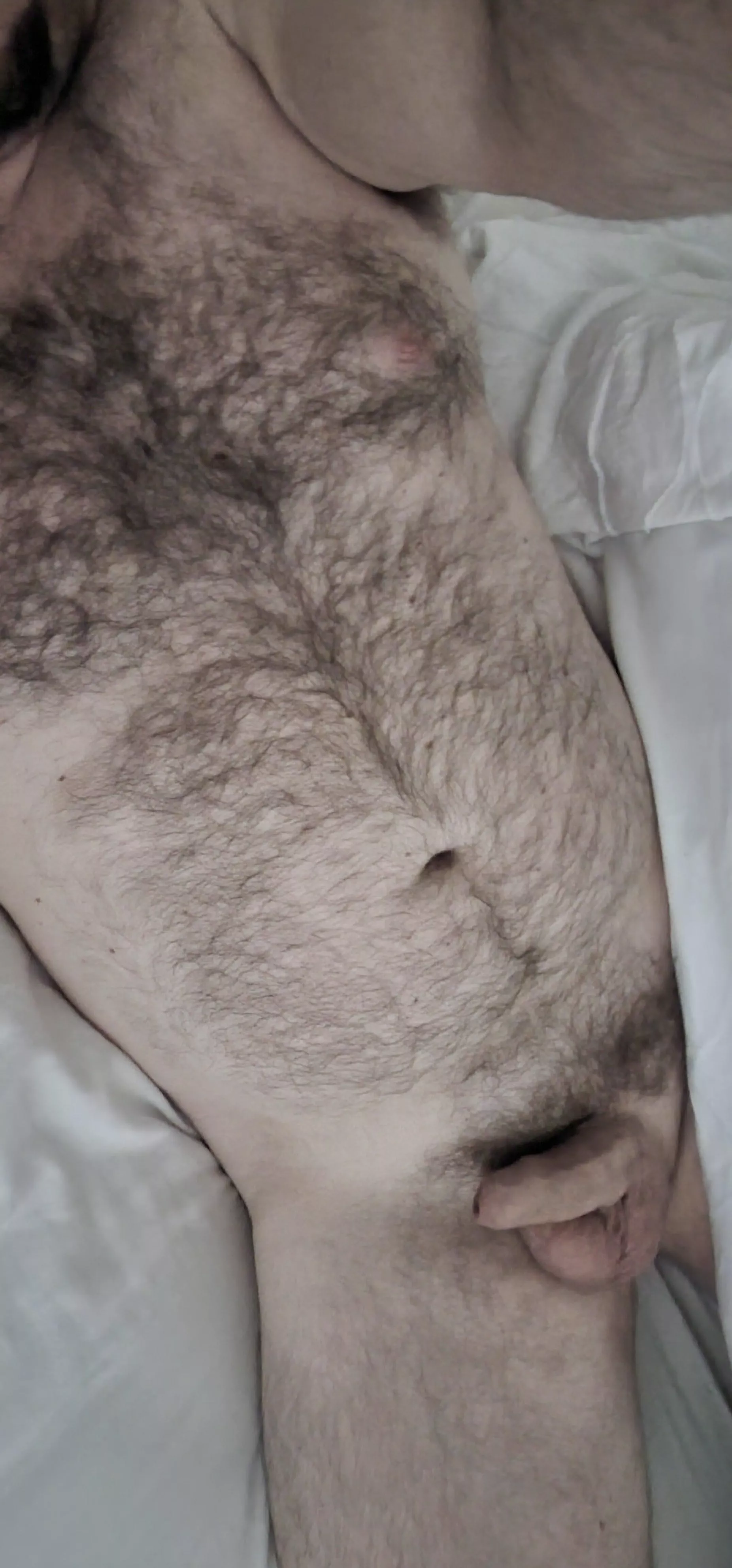 Hairy enough  posted by Marriedguy-42