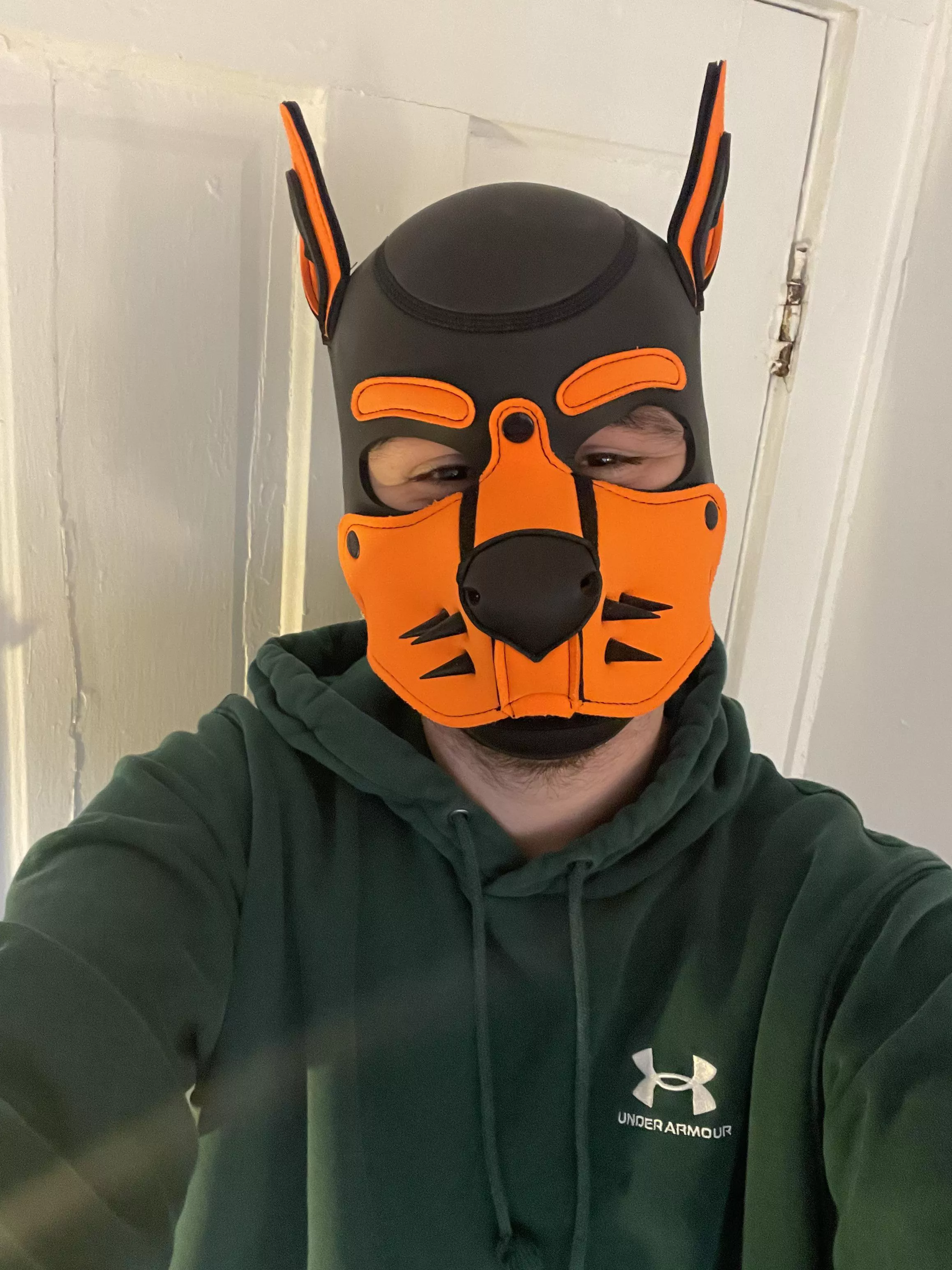 Happy St. Patrick’s Day puppies, have a great day and be safe! posted by PupAjaxTheGreat