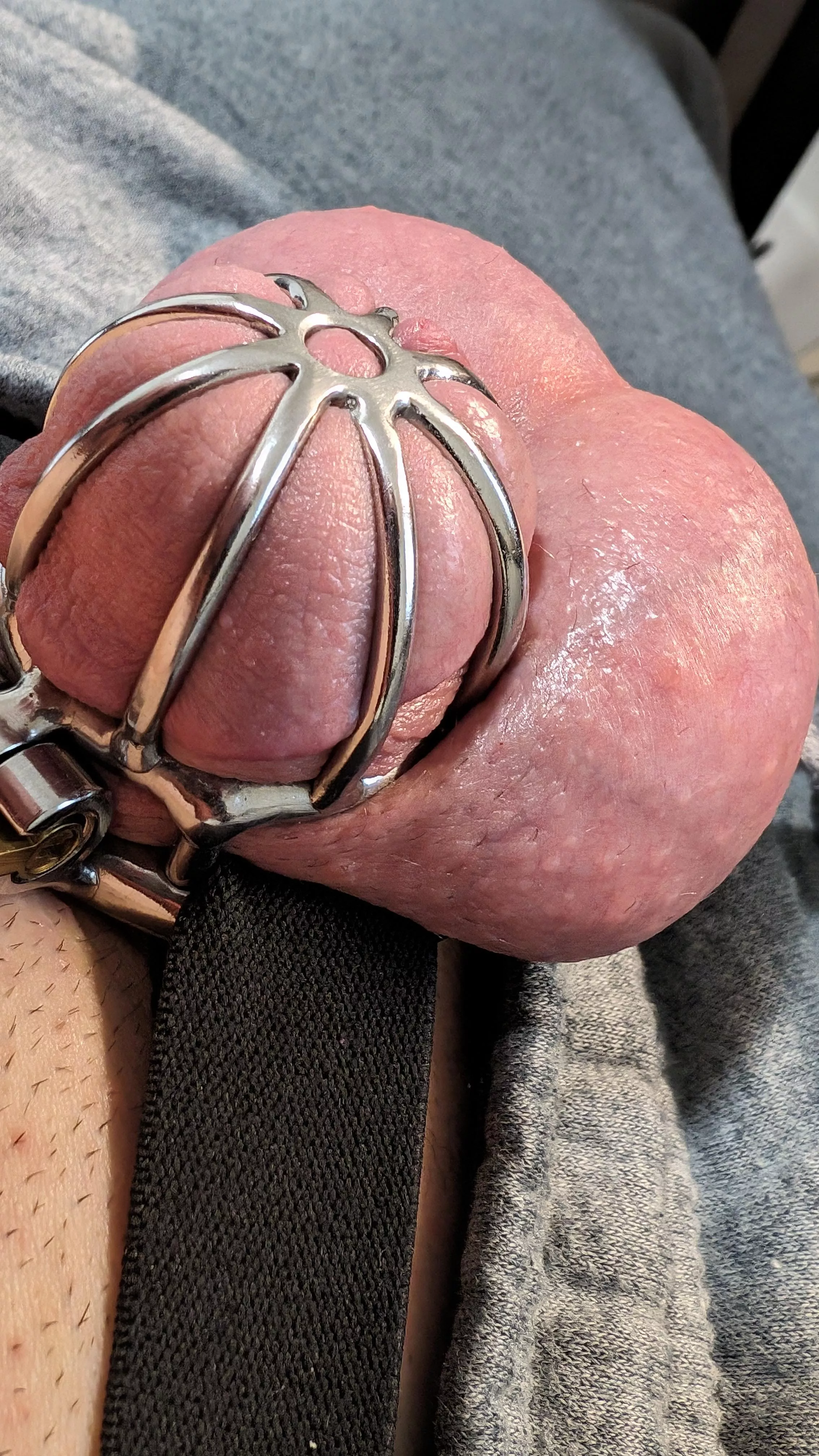 I'm filling every bit of this cage. Should I go smaller? 😏 posted by funroleplayer