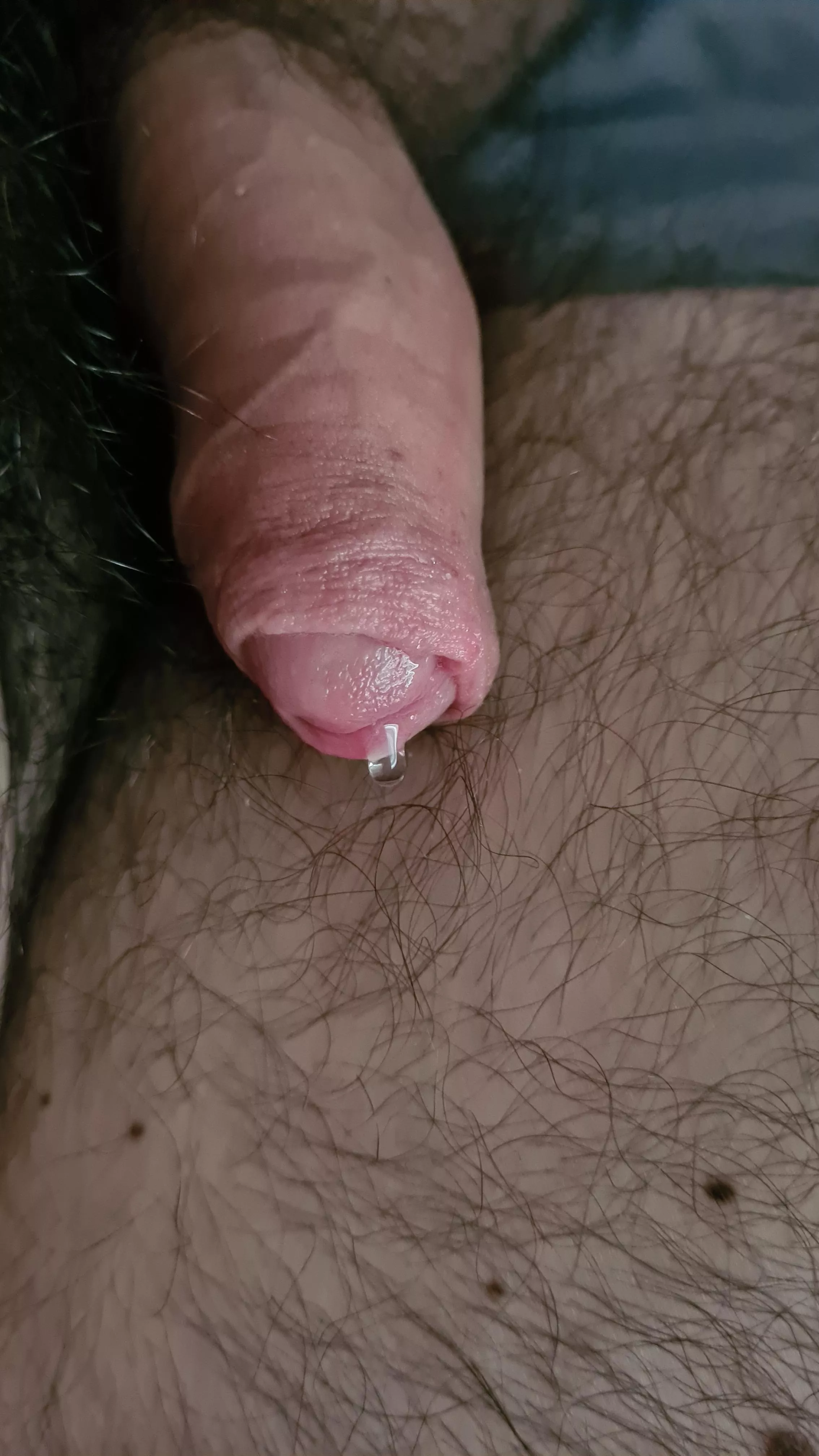 Leaky posted by BeorfBromanson