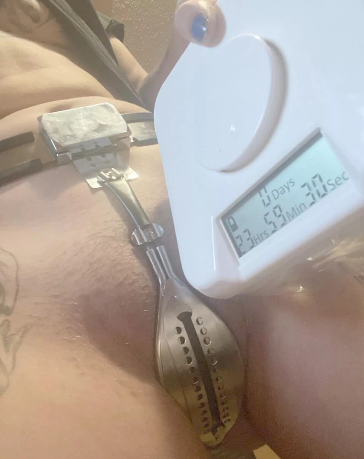 Locked in the lockbox for the night posted by Chastityslut4679