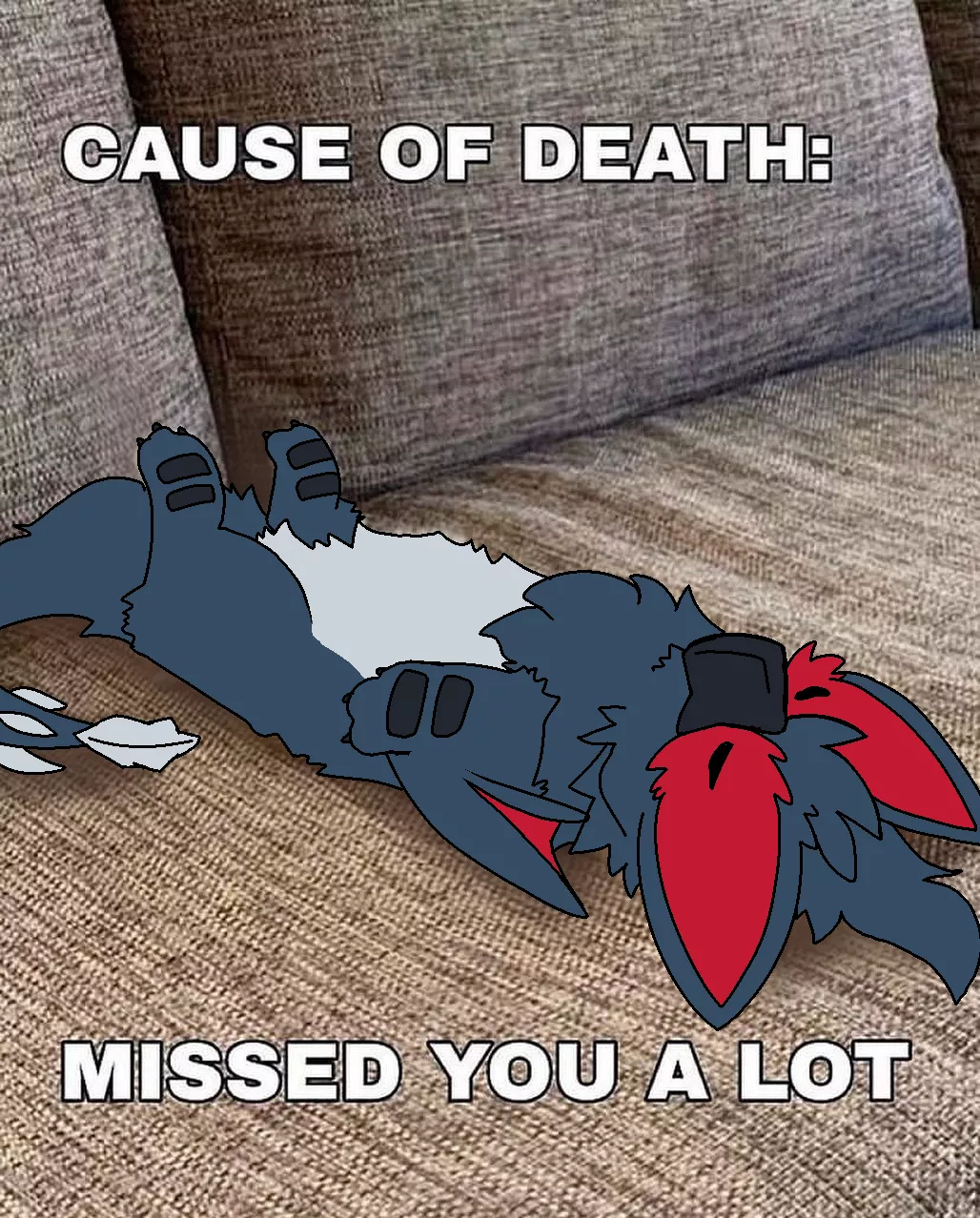 Missed you a lot.. (By @RuiOnRollers) posted by Used_Dimension1555