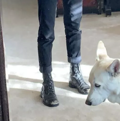 Please recommend me a good pair of combat goods similar to these  by ihatepeepeepoopoo