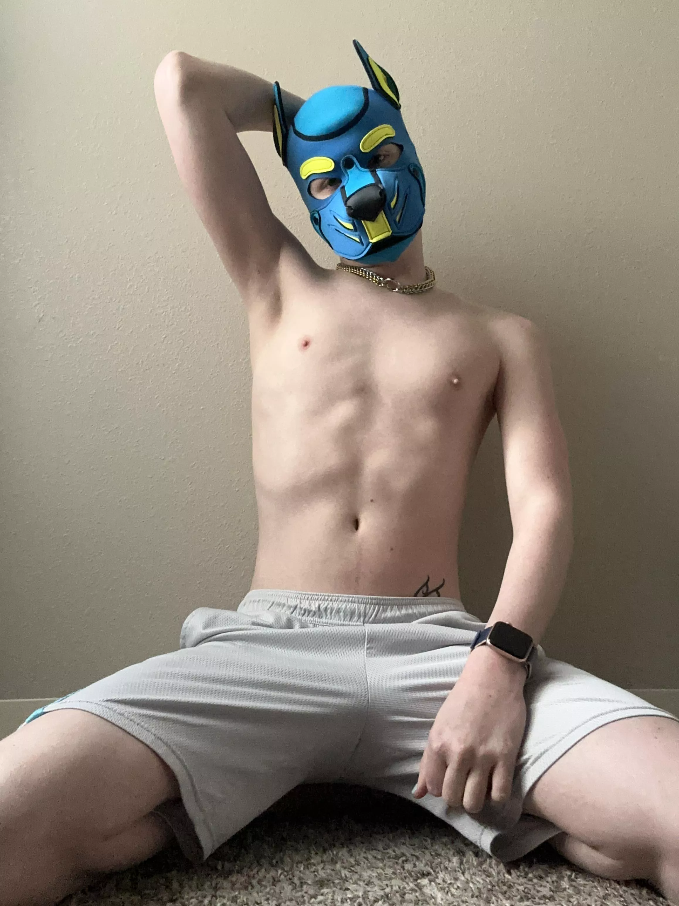 Post gym puppy! posted by PupOri0n