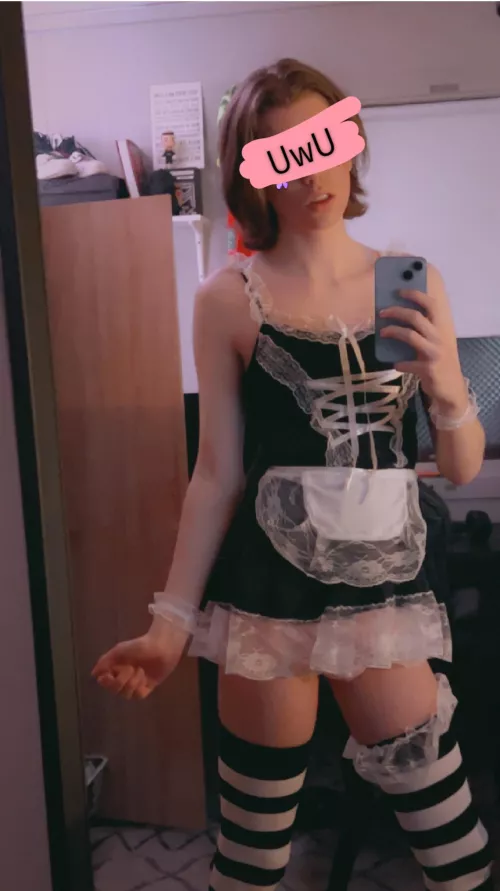 Ready to serve:3 by Ambitious_Cow6817