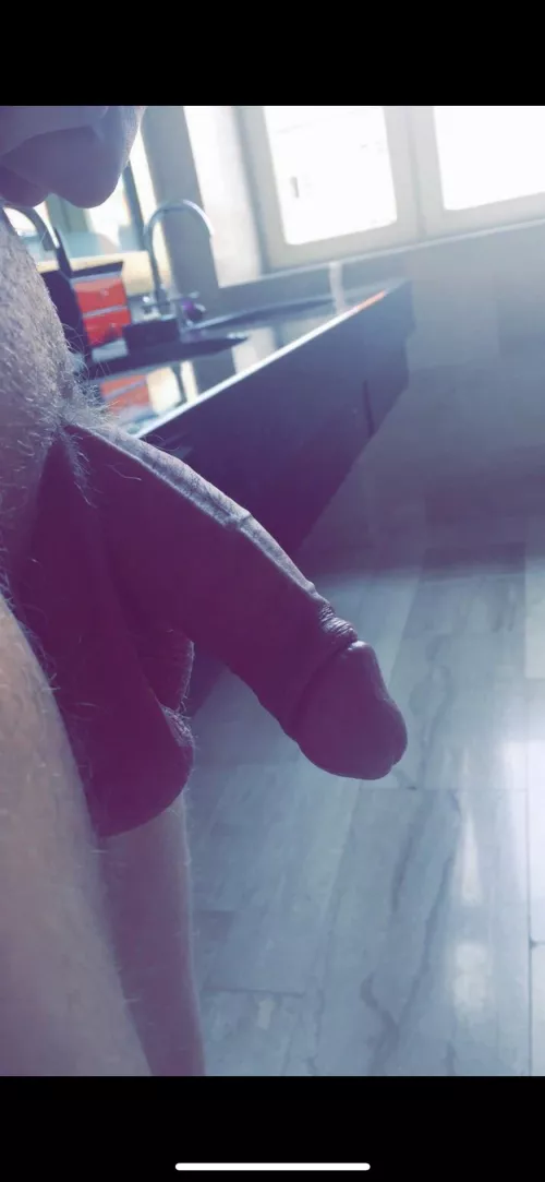 Semi by No_Pollution_6526