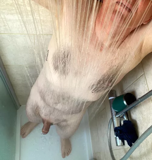 Sensuality by glacialnote