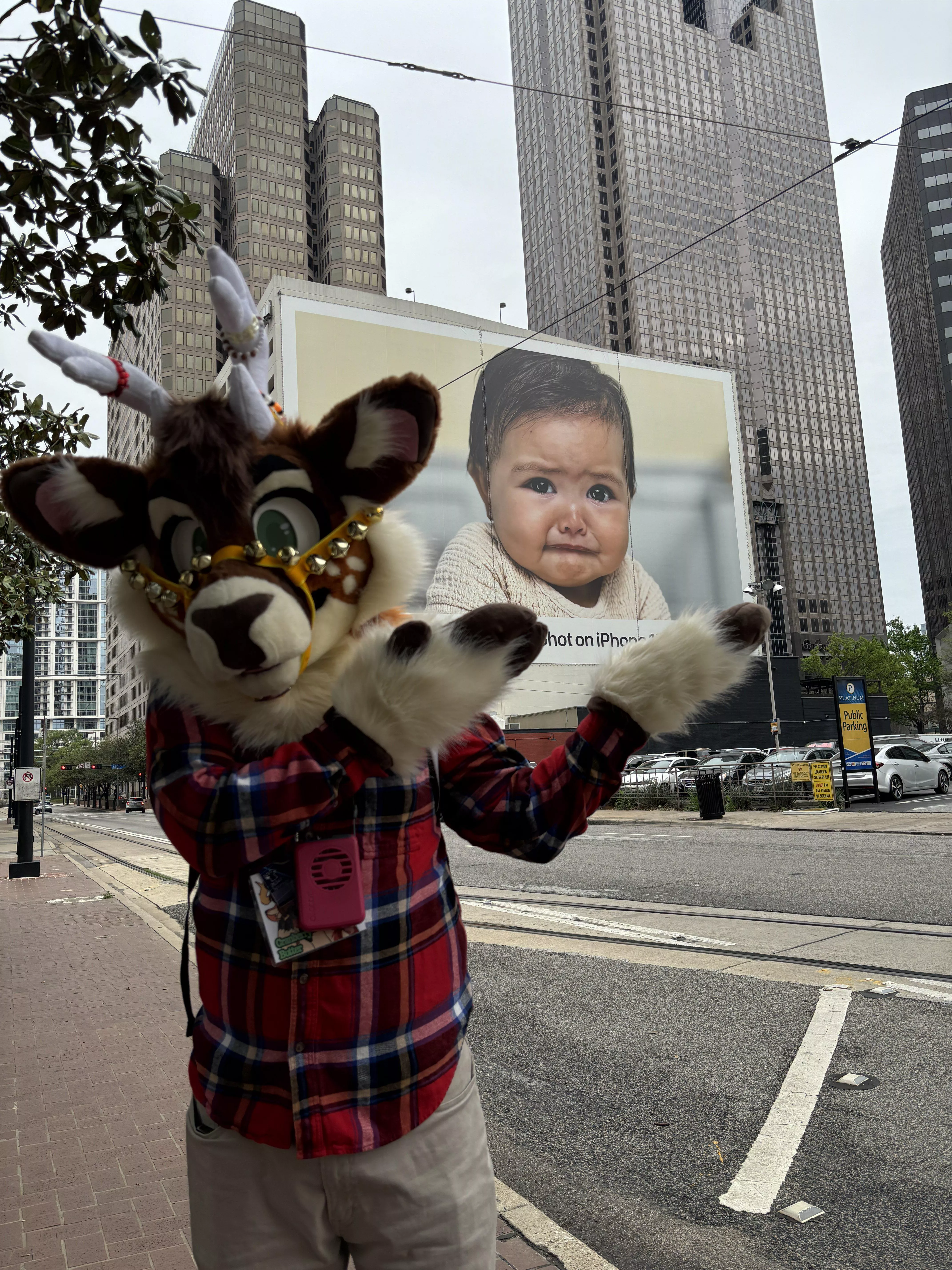 THE TFF BABY  posted by Butteerr_