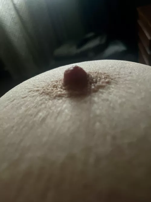 Too close or just right? by scout77ih