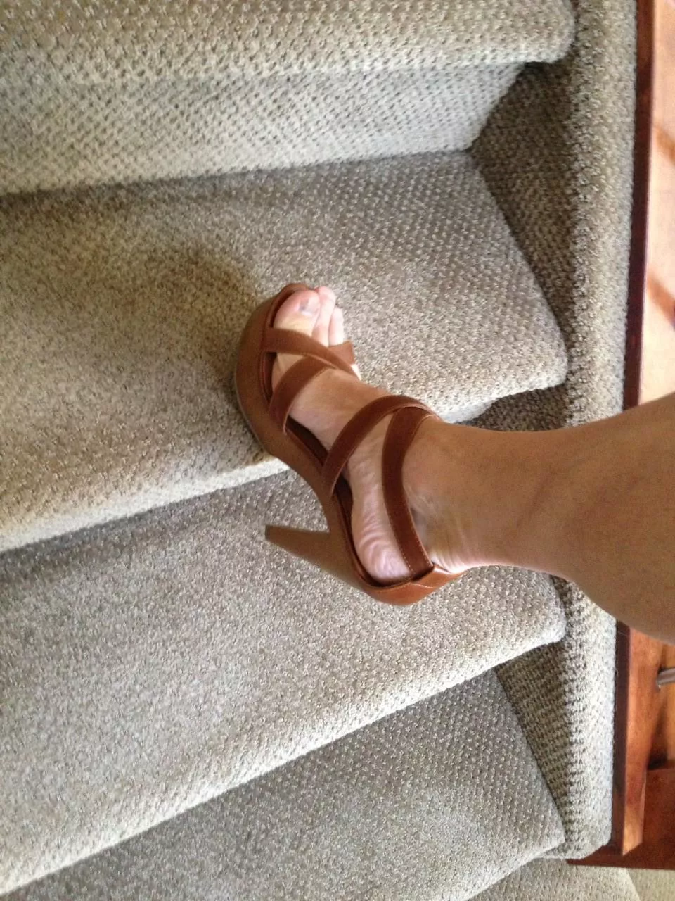 Well Heeled posted by BluechipsFall