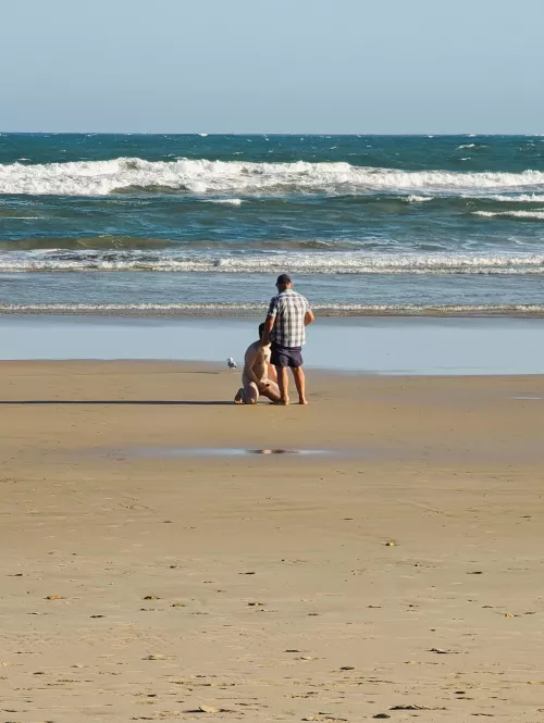 Went to a nude beach. Didn't ask for bf's permission. He could only jack in the distance and take pics while I sucked this daddy off. Then went to the sand dunes in private and rimmed a cute otter without my bf knowing.  by shasayaway