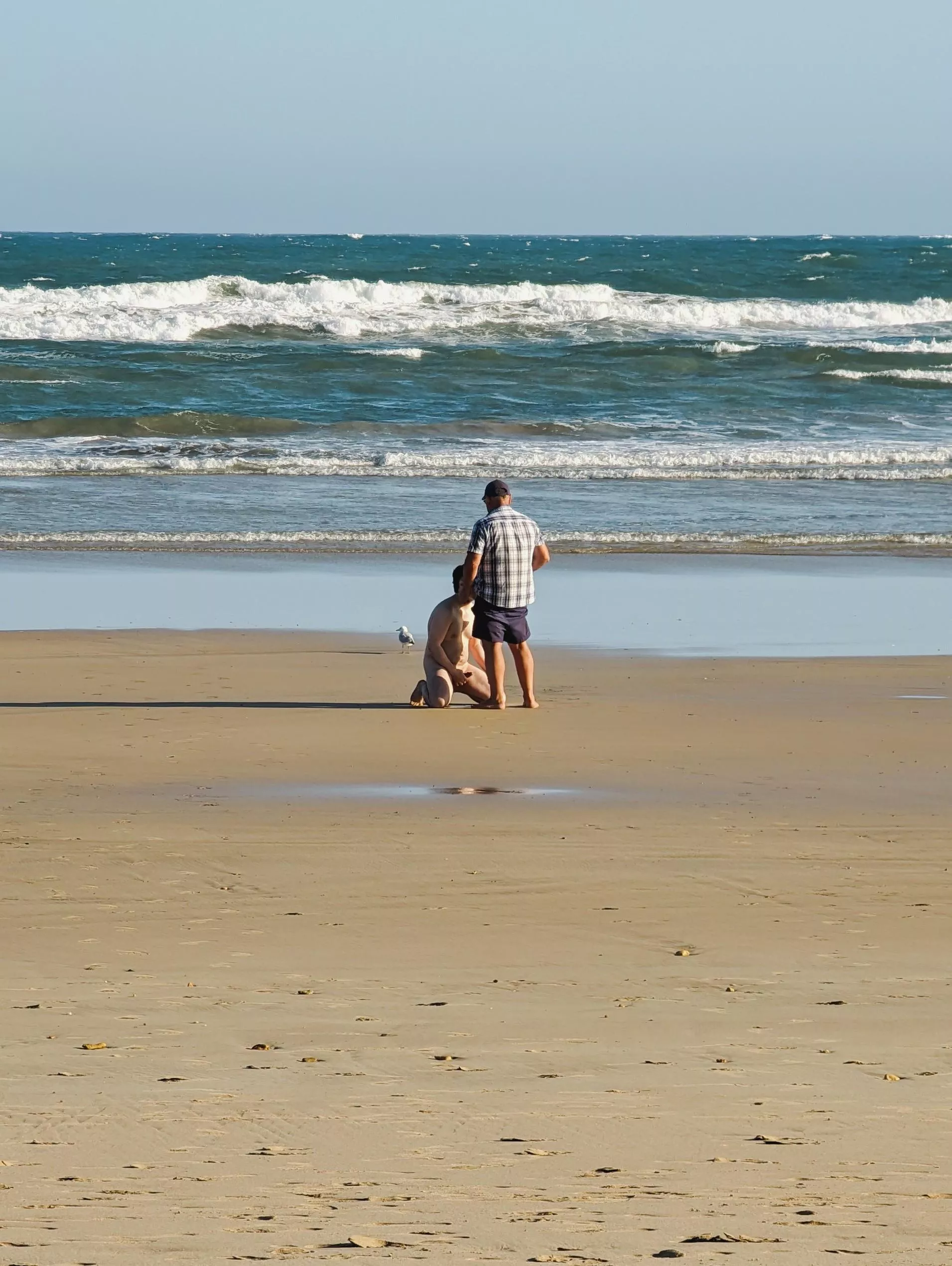 Went to a nude beach. Didn't ask for bf's permission. He could only jack in the distance and take pics while I sucked this daddy off. Then went to the sand dunes in private and rimmed a cute otter without my bf knowing.  posted by shasayaway