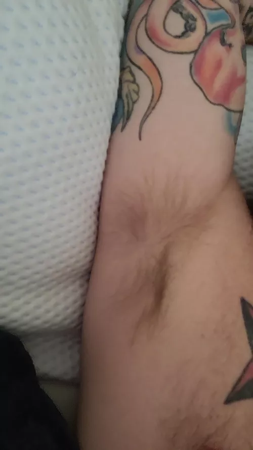 Wish mine was bushier by Current-Influence-84