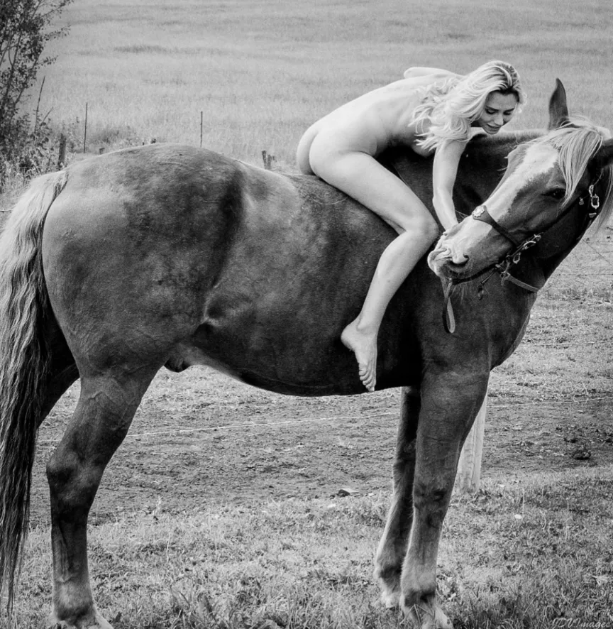 Beauty and the Beast posted by PaddyMeltt