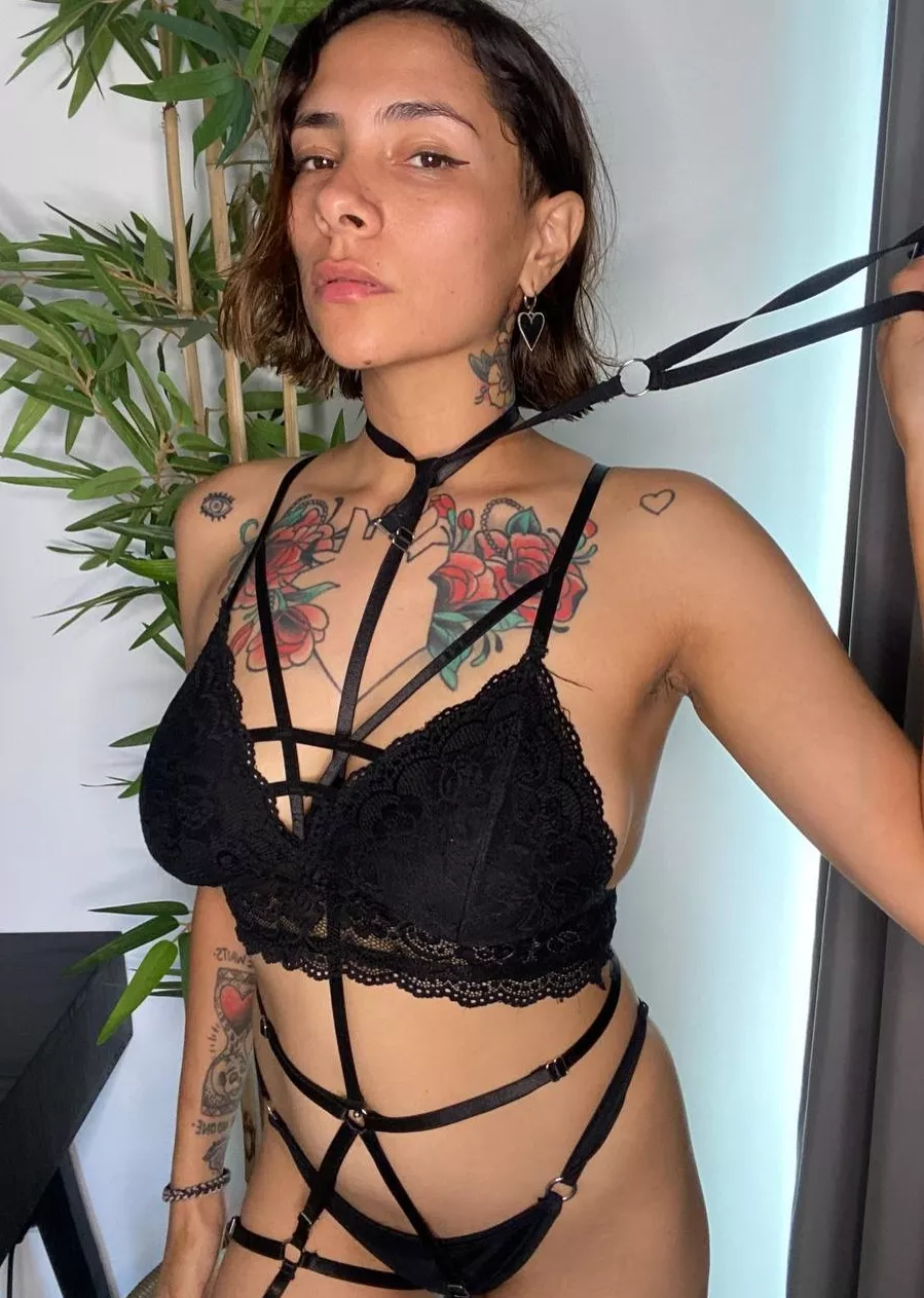 Good girls should always be ready for a walk posted by engildhullinge86