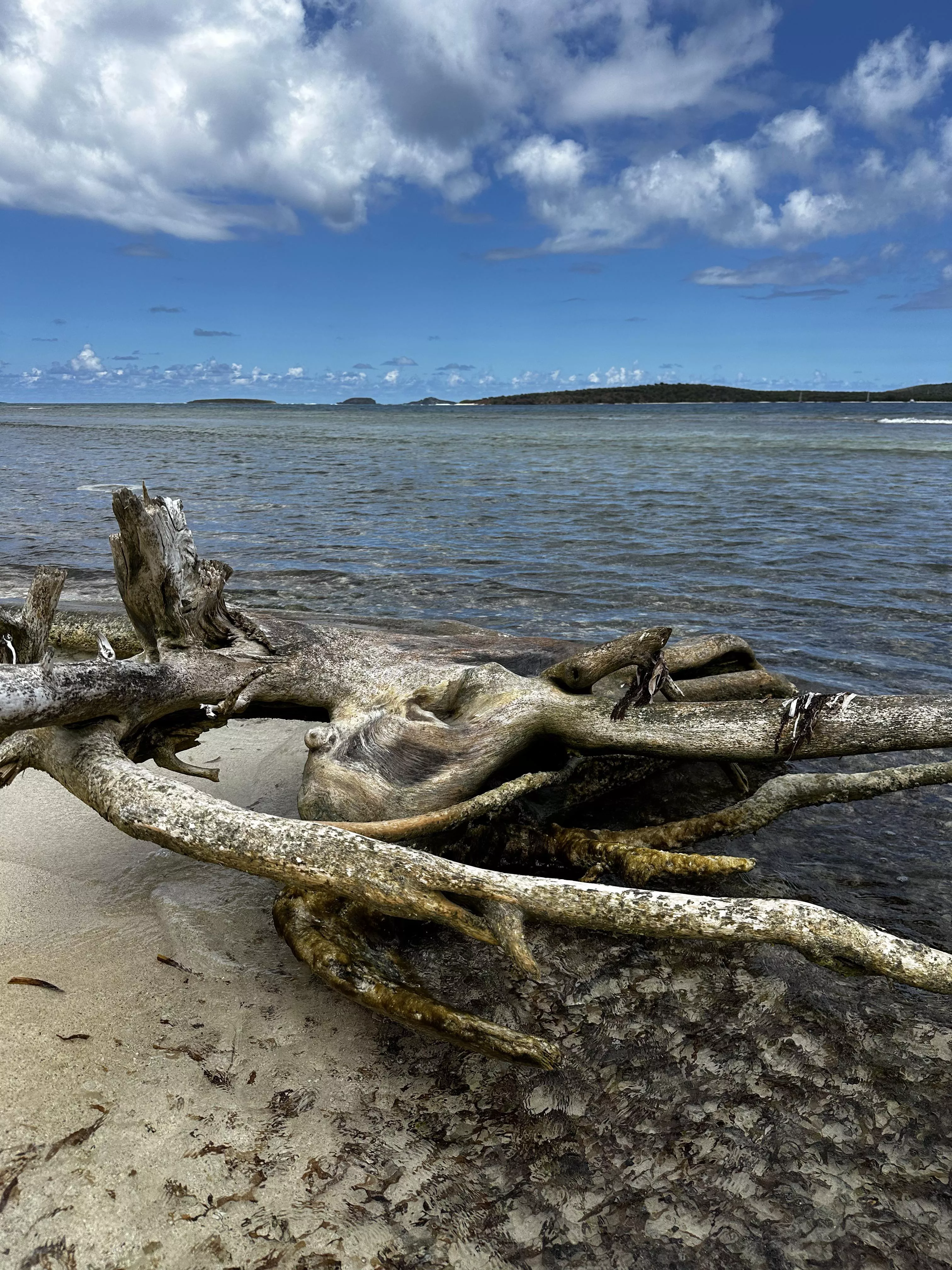 Playa Larga on Culebra Puerto Rico.  posted by astrotim67