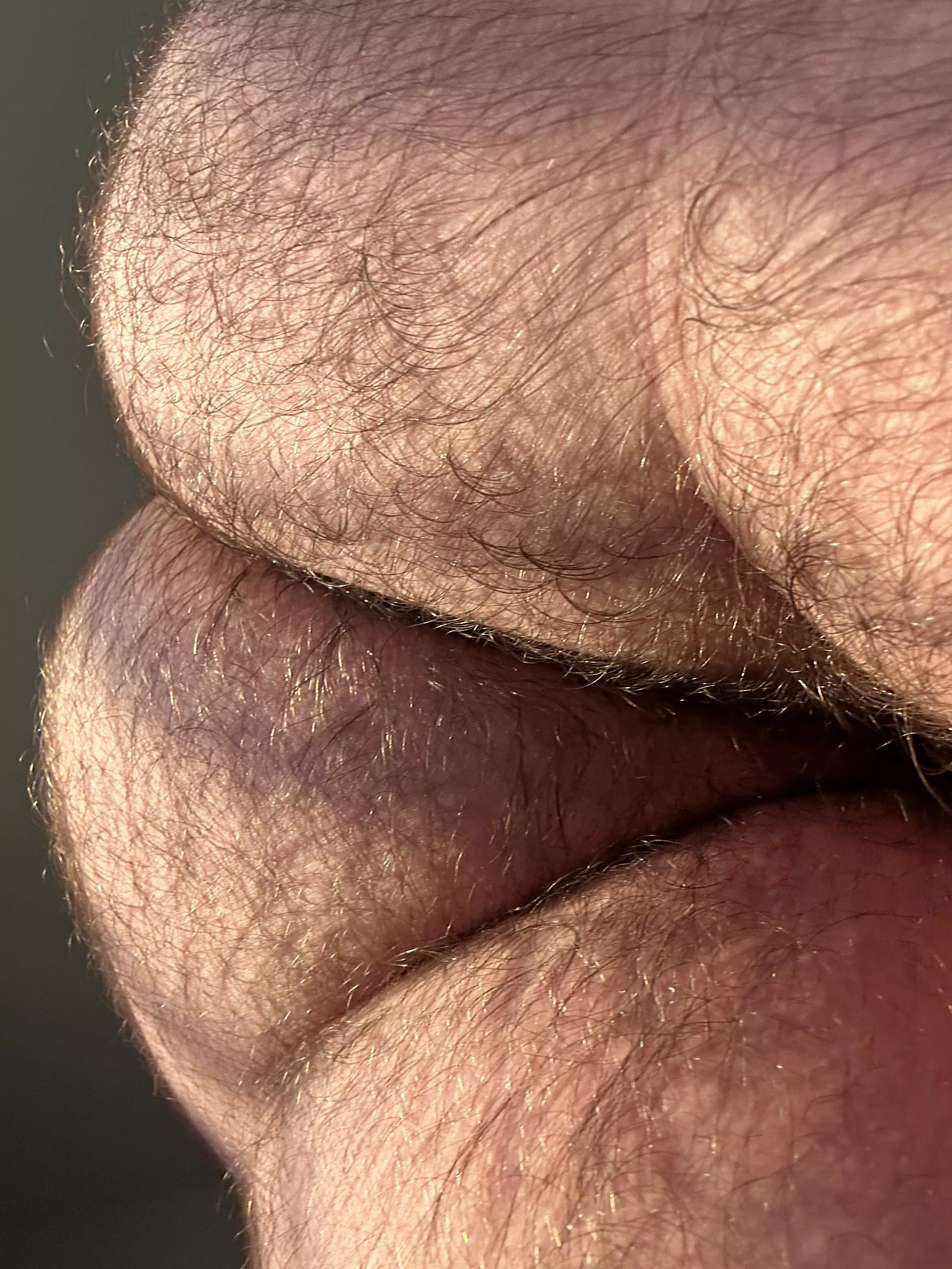 Pretty furry posted by Practical-Divide-484