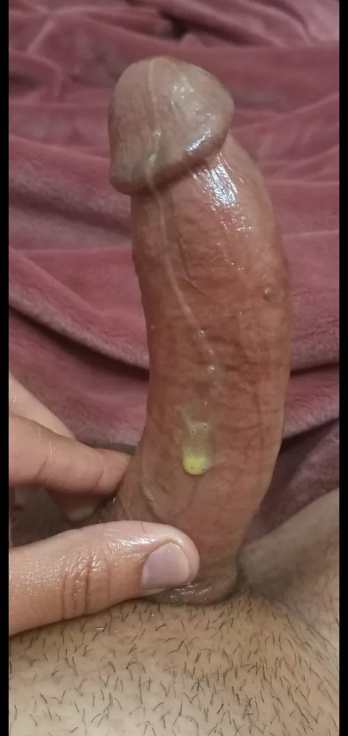 Who wants to lick it up? 💦 by [deleted]