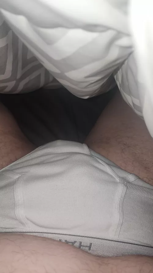 38 looking for tightywhities snapchat fish_on4u  by Ok-Squirrel-9669