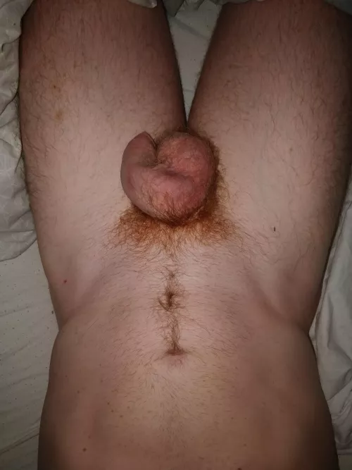 All curled up by Fireshine91