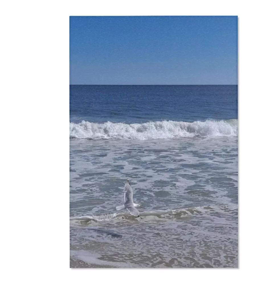 Beach vibes  posted by Justmejilly86